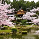 静かな日本庭園と桜の花の風景